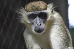 Kumasi Zoo