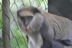 Kumasi Zoo