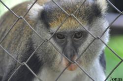 Kumasi Zoo