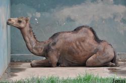 Kumasi Zoo
