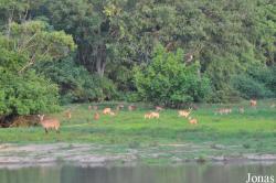Mole National Park