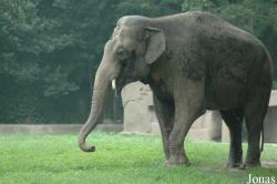 Shanghai Zoo