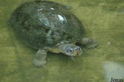 Shanghai Zoo