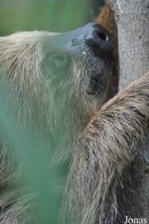 Colchester Zoo