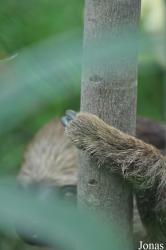 Colchester Zoo