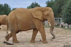 Colchester Zoo