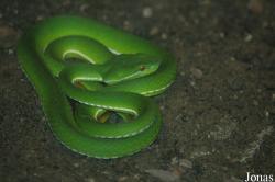 Shanghai Zoo