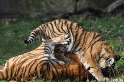 Zoologischer Garten Eberswalde