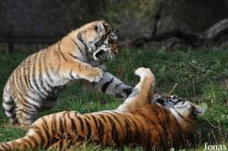 Zoologischer Garten Eberswalde