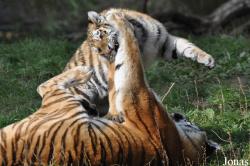 Zoologischer Garten Eberswalde