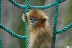 Shanghai Zoo