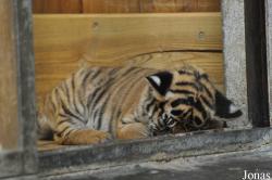 Tierpark Berlin