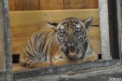 Tierpark Berlin