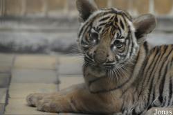 Tierpark Berlin