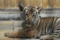 Tierpark Berlin