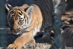 Tierpark Berlin