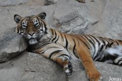 Tierpark Berlin
