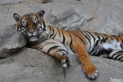 Tierpark Berlin