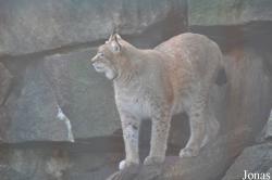 Tierpark Berlin