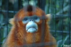 Shanghai Zoo
