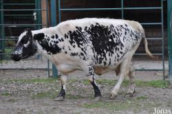 Tierpark Berlin