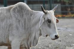Tierpark Berlin