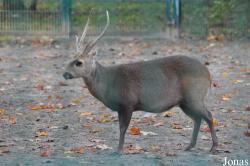 Tierpark Berlin