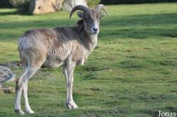 Tierpark Berlin