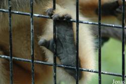 Shanghai Zoo