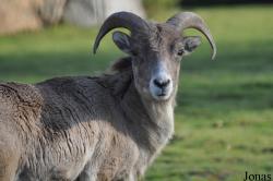 Tierpark Berlin