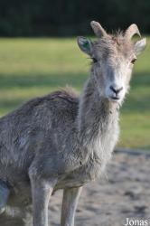 Tierpark Berlin