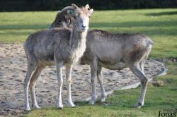Tierpark Berlin