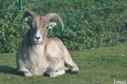 Tierpark Berlin