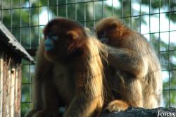 Shanghai Zoo