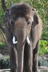Tierpark Berlin