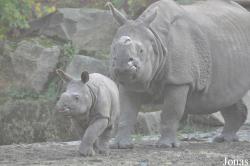 Tierpark Berlin