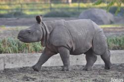 Tierpark Berlin