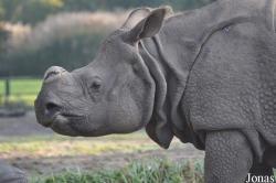 Tierpark Berlin