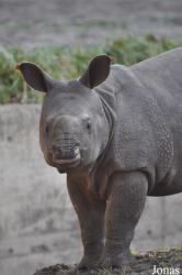 Tierpark Berlin