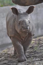 Tierpark Berlin