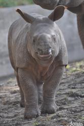 Tierpark Berlin