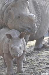Tierpark Berlin