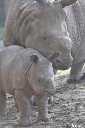 Tierpark Berlin