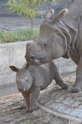 Tierpark Berlin