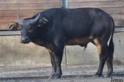 Tierpark Berlin