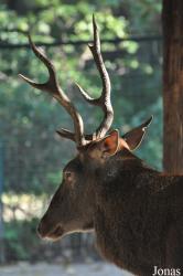 Tierpark Berlin