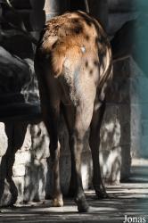 Tierpark Berlin