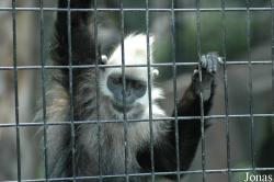 Shanghai Zoo
