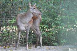 Tierpark Berlin