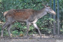 Tierpark Berlin